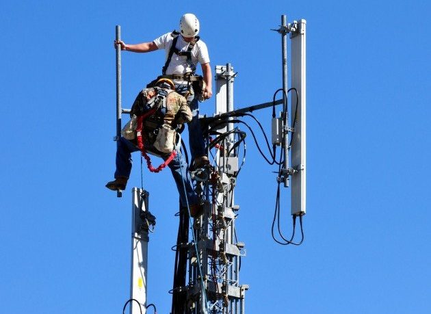 Inquinamento elettromagnetico e principio di precauzione: «le scuole come oasi di crescita dei cuccioli
