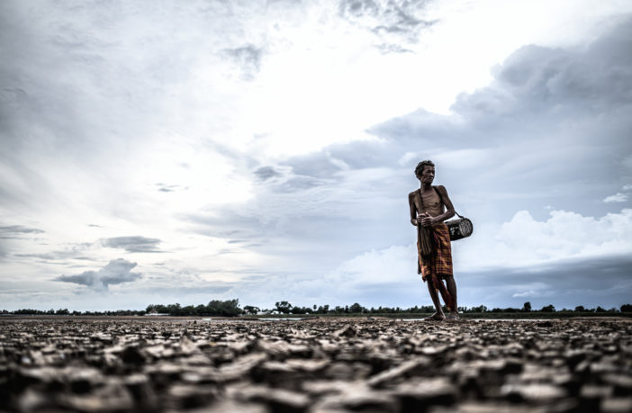 «Adattarsi per non perire»: le nostre campagne alle prese con la crisi climatica