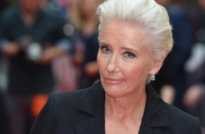 Battaglia navale a Venezia, Emma Thompson: «Via le grandi navi dalla Laguna»