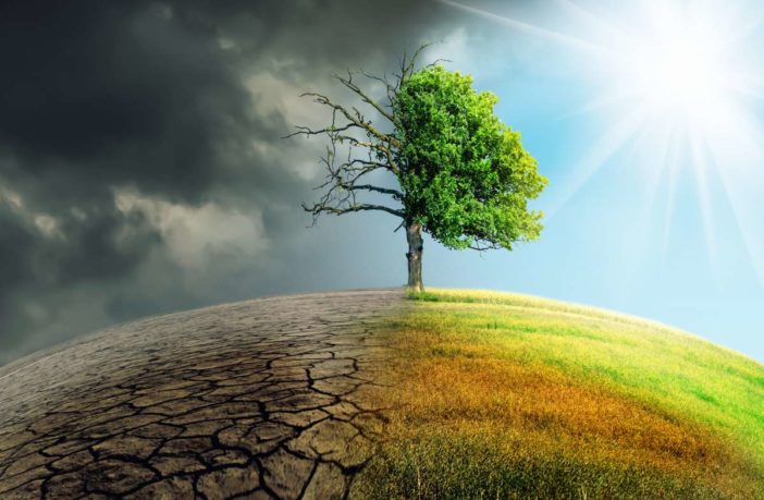 Ambientalismo e politica. «E se guardassimo in avanti, ai prossimi dieci anni?»