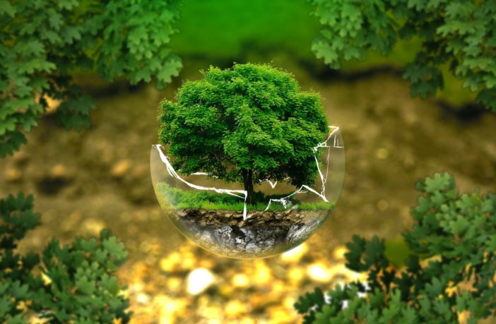 “Salviamo il Paesaggio” scrive a Draghi: «La transizione ecologica guidi l’economia, non viceversa»