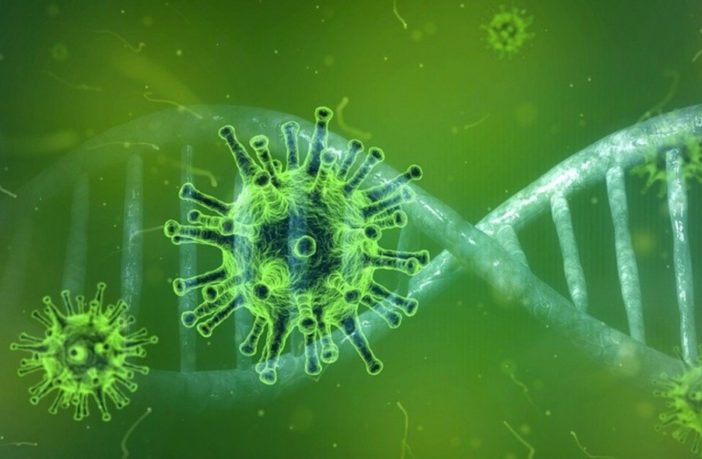 Il Dna di Neanderthal, l’università di Verona e la svolta nella lotta al Covid