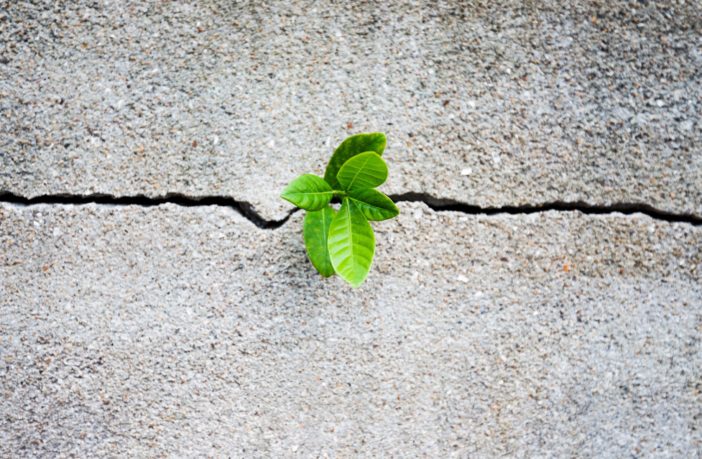 Earth Day 2021. Ispra: «consumiamo sempre più suolo e alziamo la temperatura della Terra»