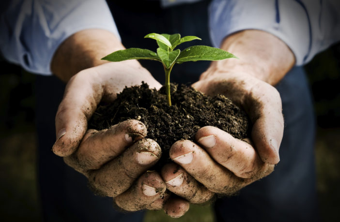 Fondi pubblici e agricoltura al bivio: produzioni di nicchia o sostenibili?