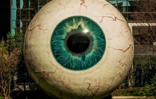 Web: l’utopia del libero arbitrio nell’era della bubble democracy e del tribalismo identitario