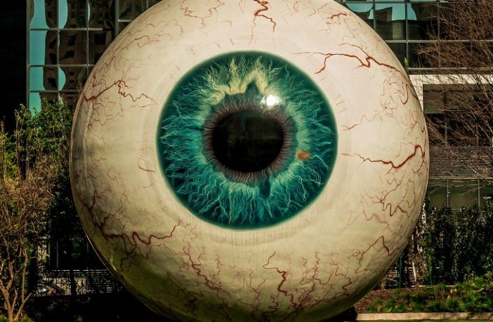 Web: l’utopia del libero arbitrio nell’era della bubble democracy e del tribalismo identitario