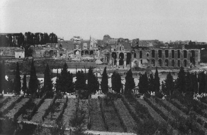 Parco archeologico del Colosseo: l’uva dei Cesari torna ad ornare il Colle Palatino