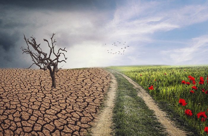 Il 2022 che sarà. “Economia circolare”, “resilienza”, “sostenibilità”: parole grosse e luoghi comuni