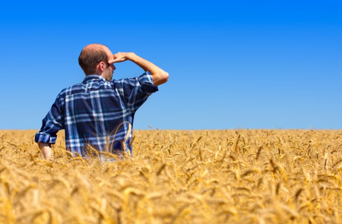La guerra non deve uccidere anche Green Deal, Pnrr e la Politica agricola comune