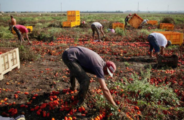 La schiavitù nel mondo del lavoro: la realtà di un dramma, la svolta della Cassazione
