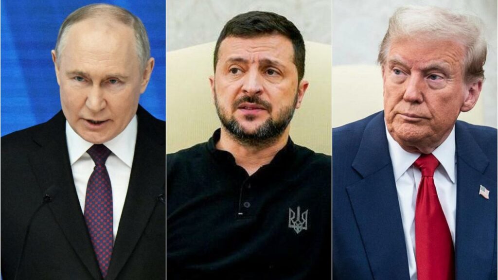 Trump, Putin, Zelensky. Botoli canini ringhiosi e cosiddetti leader europei a confronto: scopri le differenze