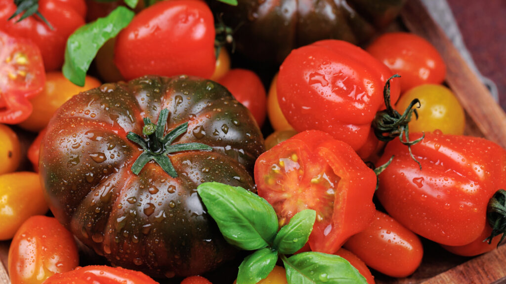 4/ Il rosso sapore del pomodoro conquista (in pace) le cucine di tutto il mondo